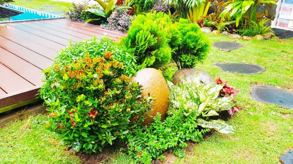 Thiết kê vườn Biệt thự Đồi Tùng Ecopark