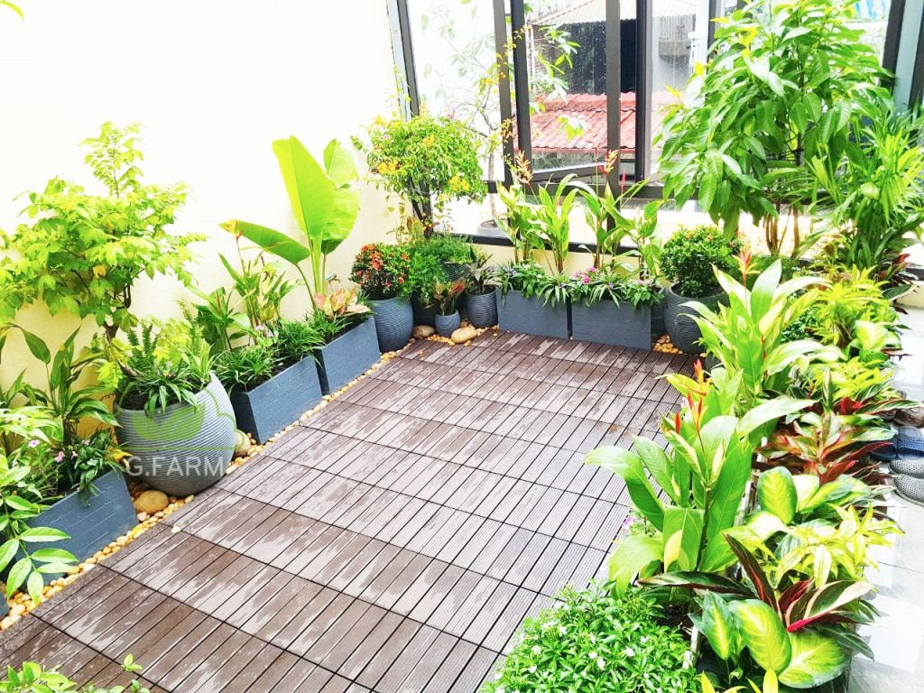 Thiết kế, thi công vườn trên sân thượng