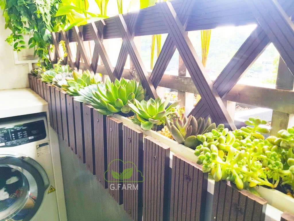 Ban công cây xanh nghệ thuật