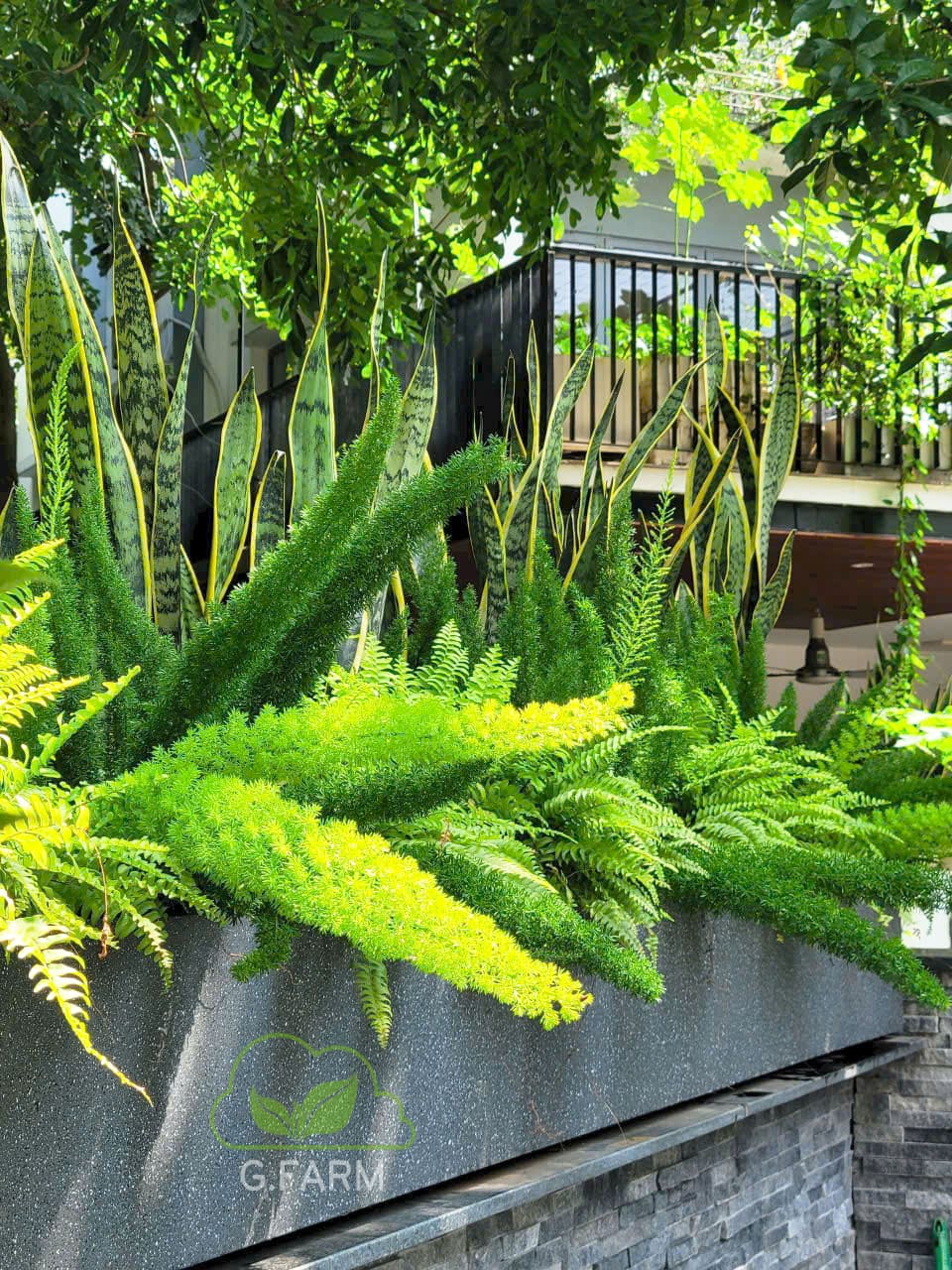 Thiết kế thi công sân vườn biệt thự Greenbay Mễ Trì