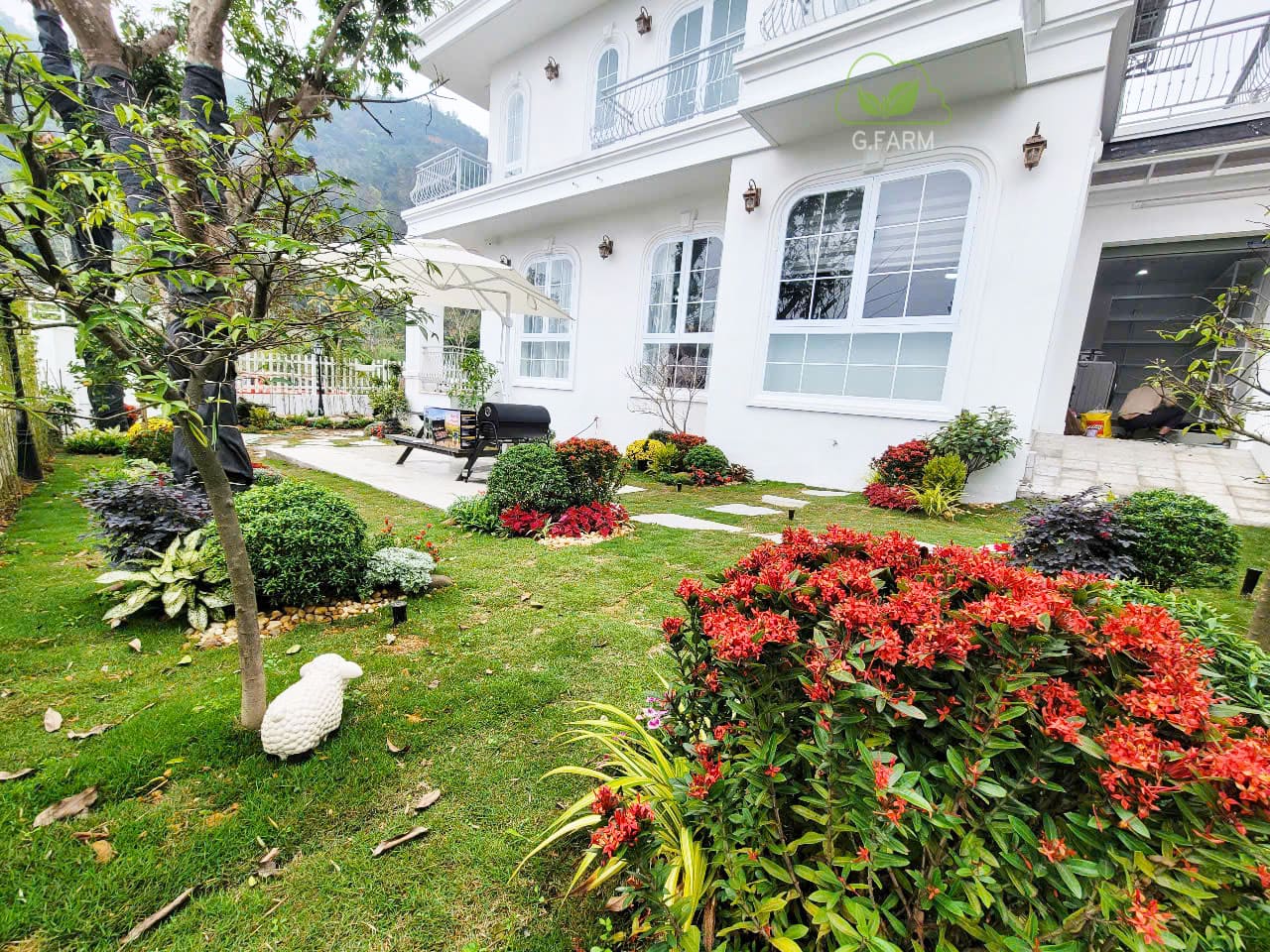 Thiết kế thi công sân vườn xanh villa