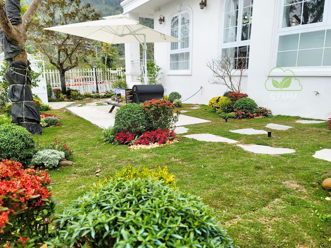Thiết kế thi công sân vườn xanh villa