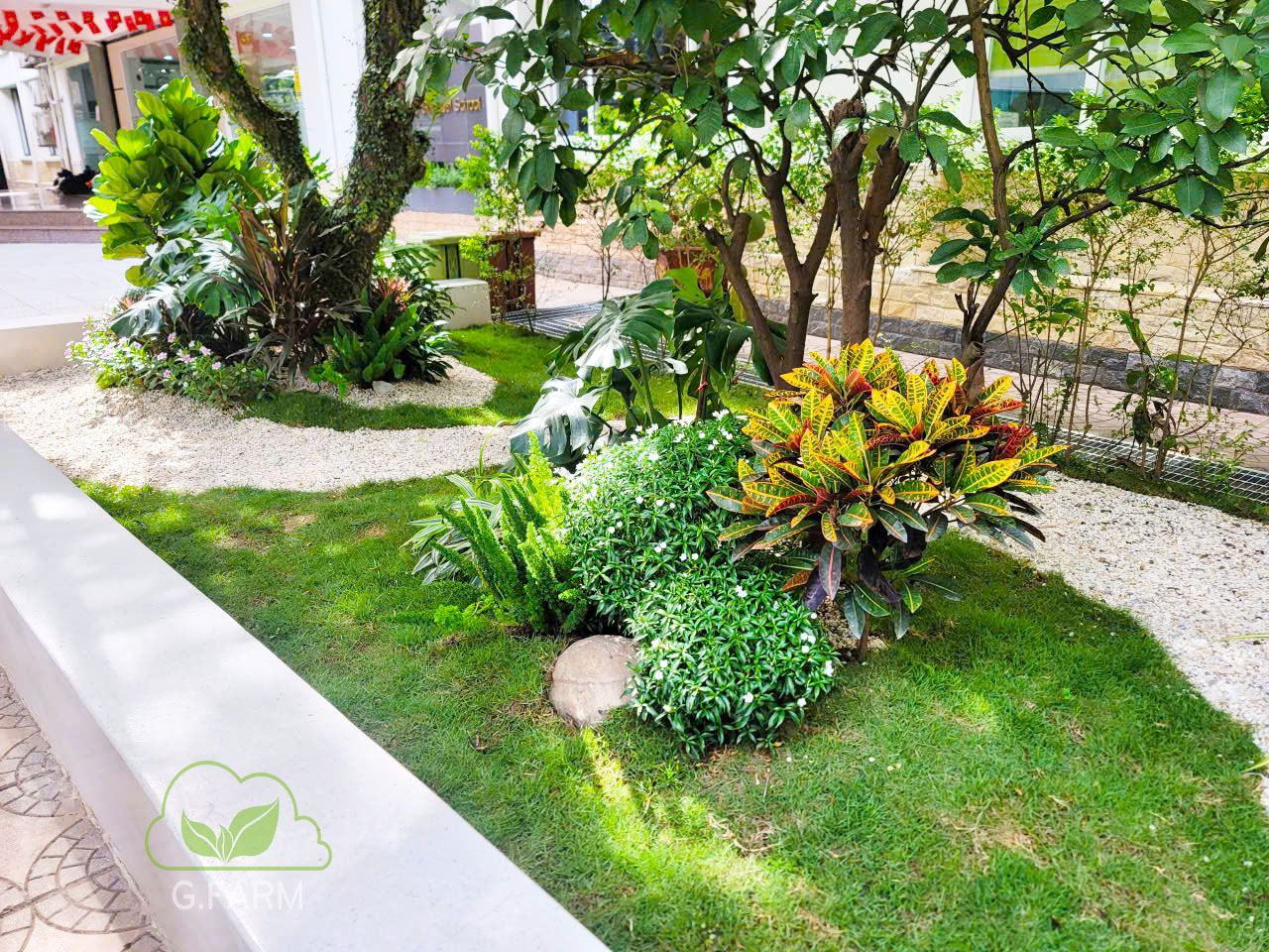 Thiết kế tiểu cảnh khuôn viên trường học