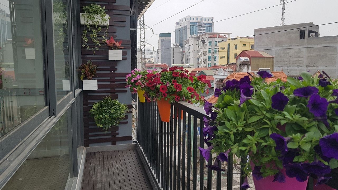 Phong cách sống xanh