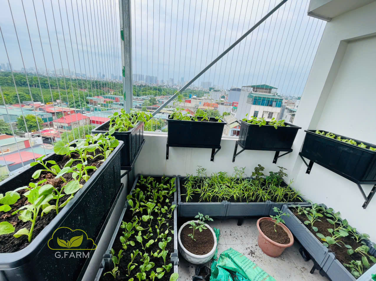 Thiết kế vườn rau