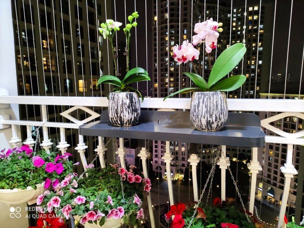 Thiết kế ban công đẹp nhất HN