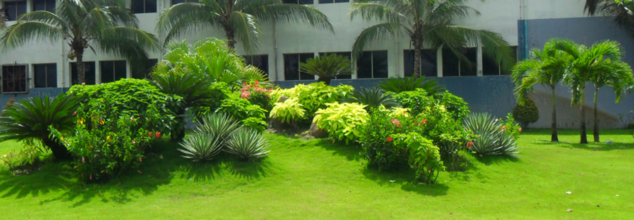 Ảnh khuyến mại 1