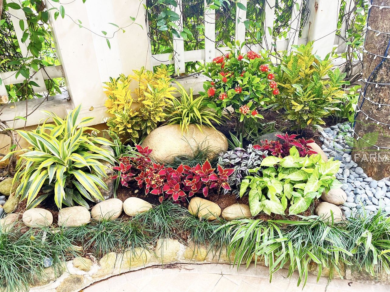 Thiết kế và thi công sân vườn tuyệt đẹp tại Vinhomes Long Biên