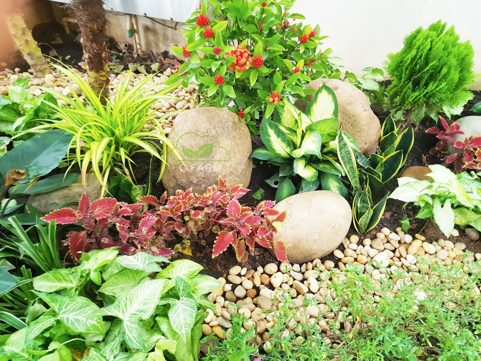 Thiết kế và thi công sân vườn tuyệt đẹp tại Vinhomes Long Biên