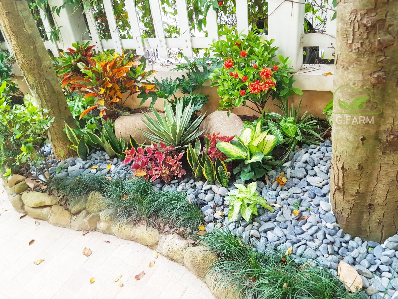 Thiết kế sân vườn biệt thự Lương Thế Vinh