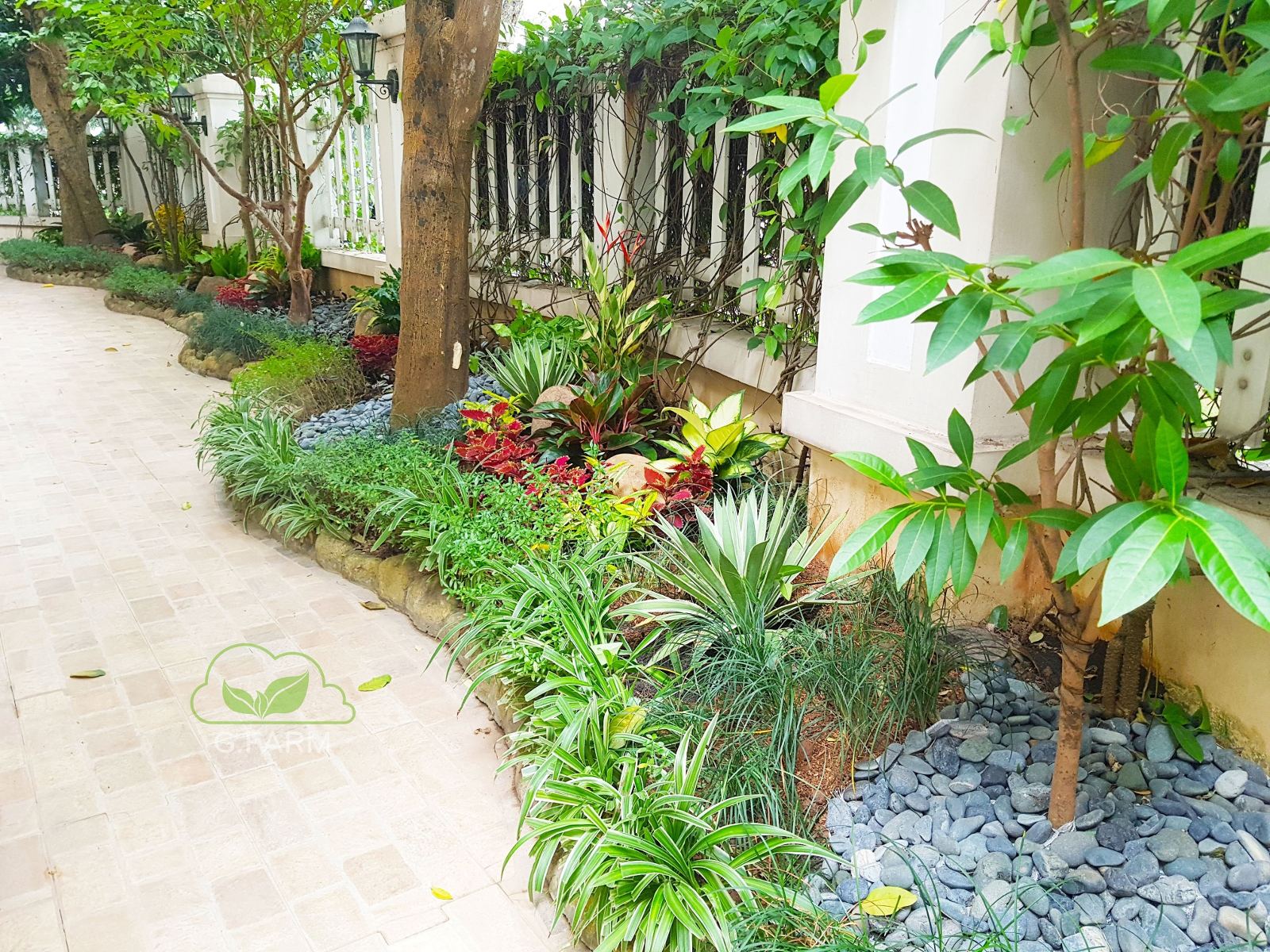 Thiết kế và thi công sân vườn tuyệt đẹp tại Vinhomes Long Biên