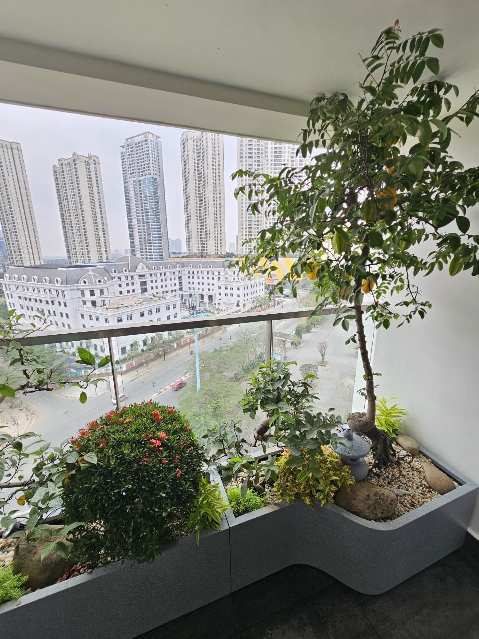 Tiểu cảnh chậu composit