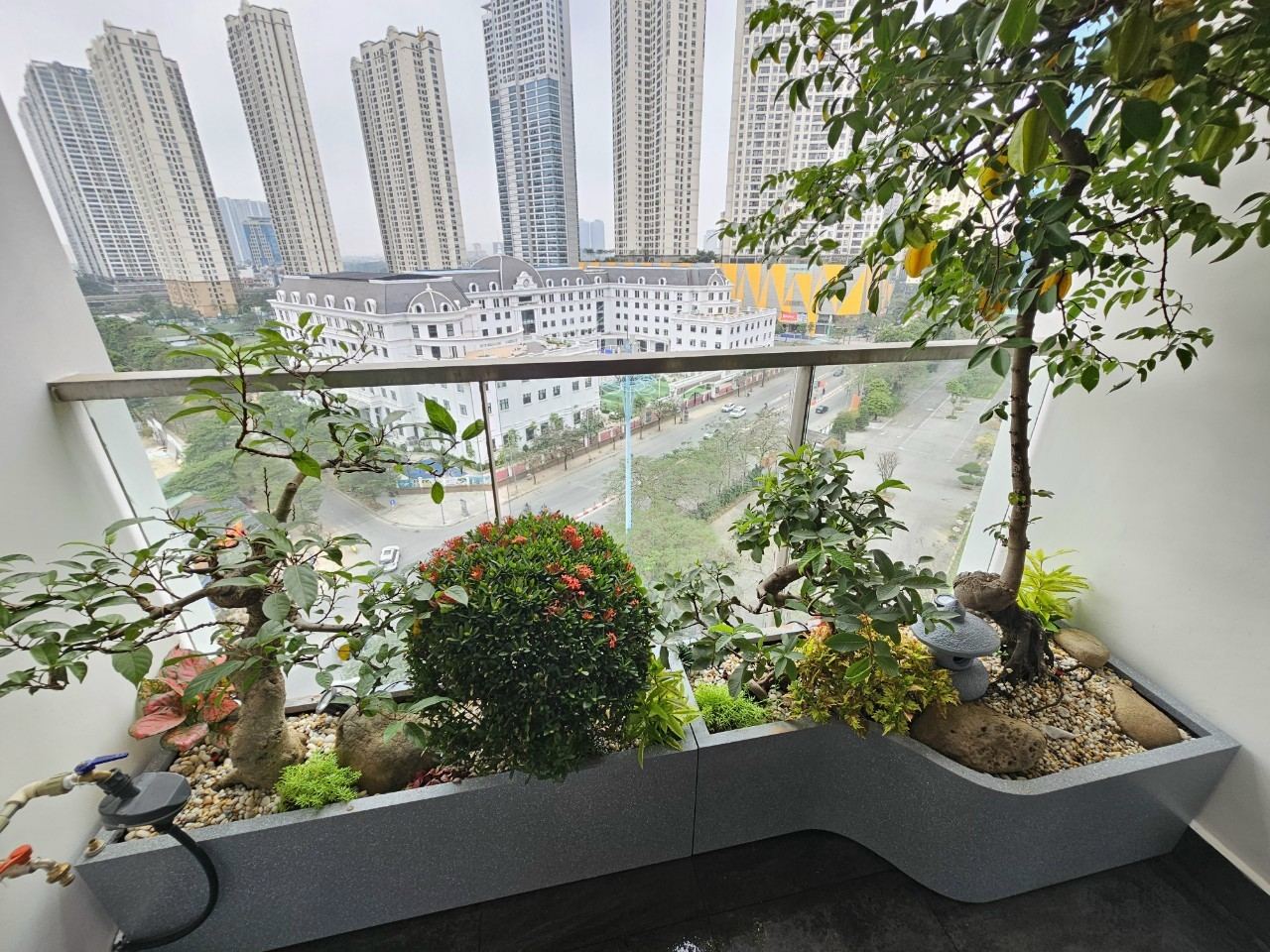 Tiểu cảnh chậu composit