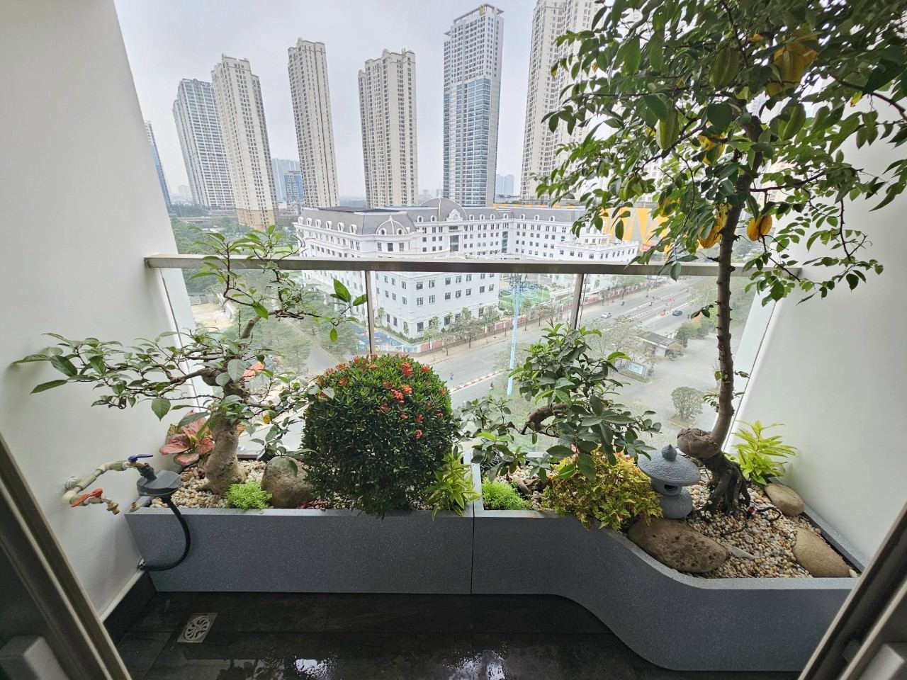 Tiểu cảnh chậu composit