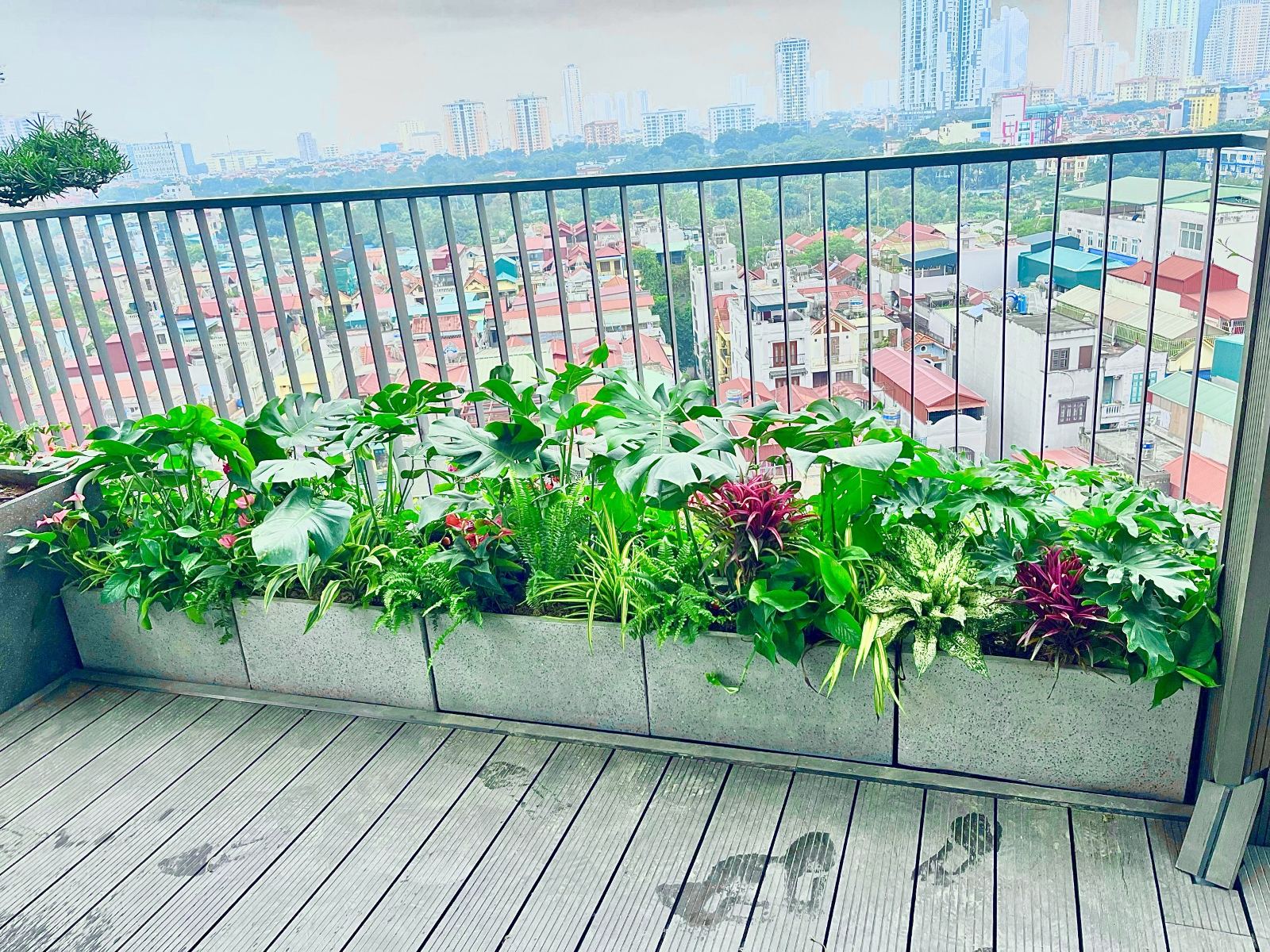 Vườn sân thượng nhỏ chị lan Triều Khúc