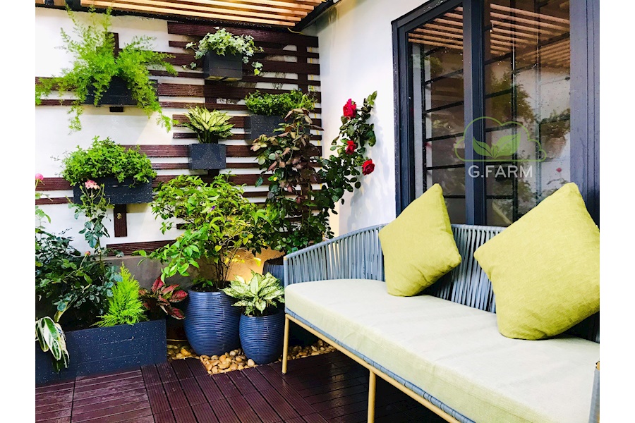 Thiết kế và Thi công dự án sân vườn Nhà phố 20m2 - Chị Nguyệt