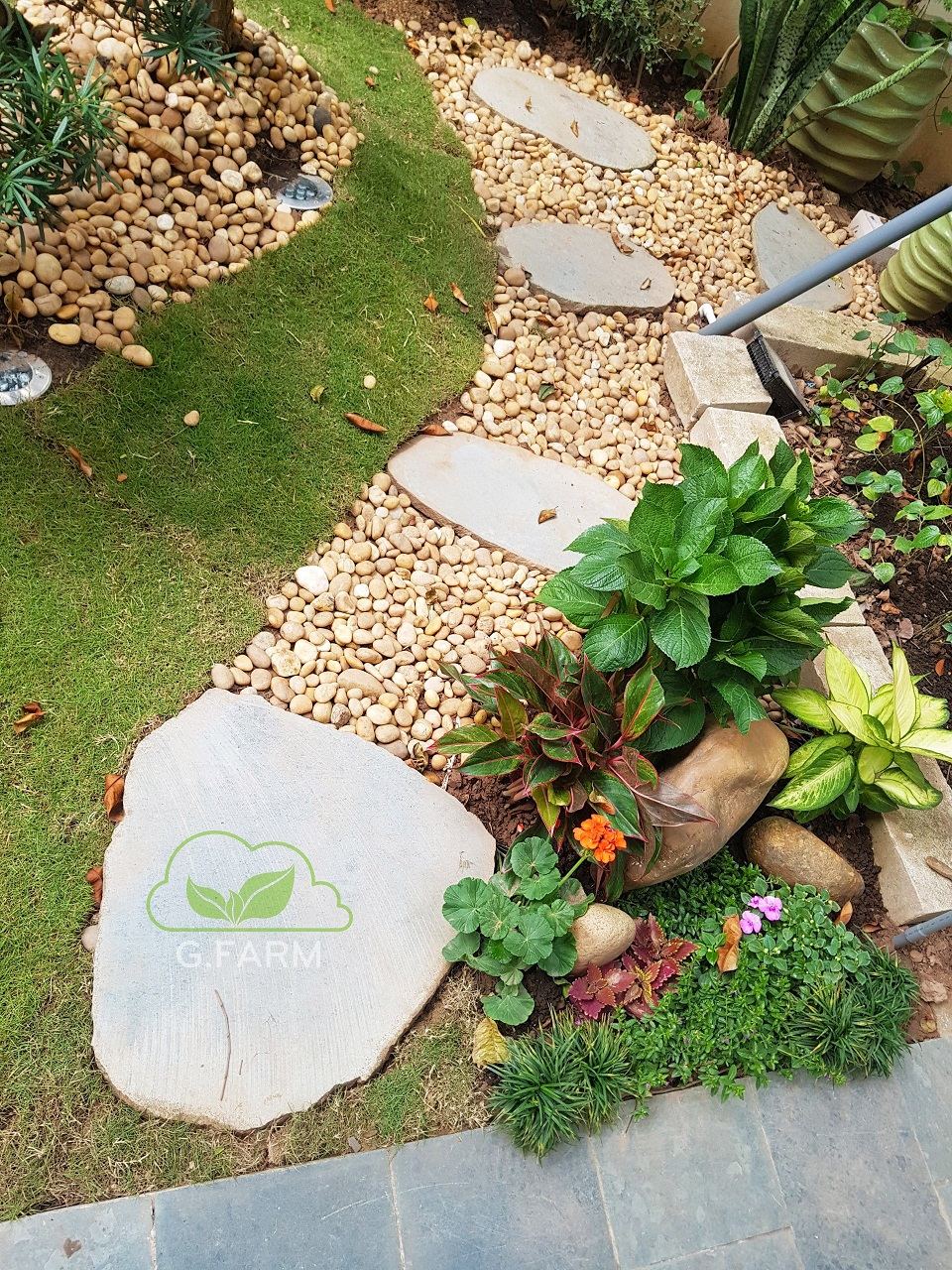 Thiết kế sân vườn biệt thự Lương Thế Vinh
