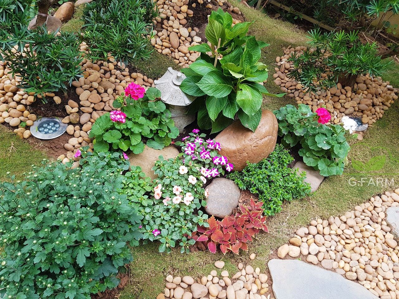 Thiết kế sân vườn biệt thự Lương Thế Vinh
