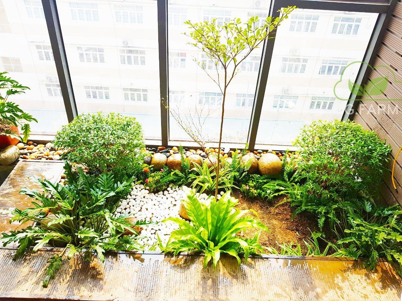 Thiết kế và Thi công dự án sân vườn Nhà phố 18m2 - Anh An