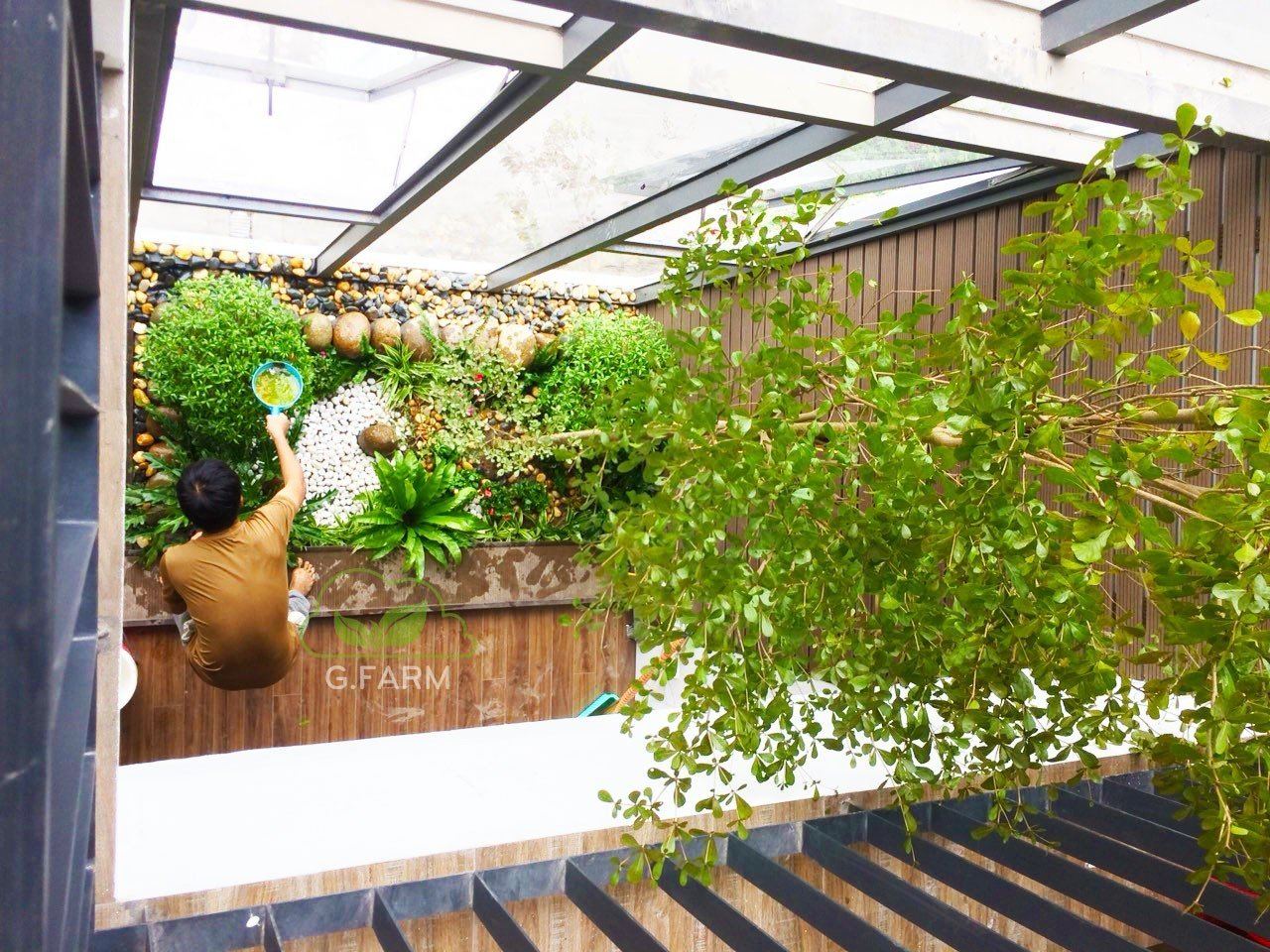 Thiết kế và Thi công dự án sân vườn Nhà phố 18m2 - Anh An