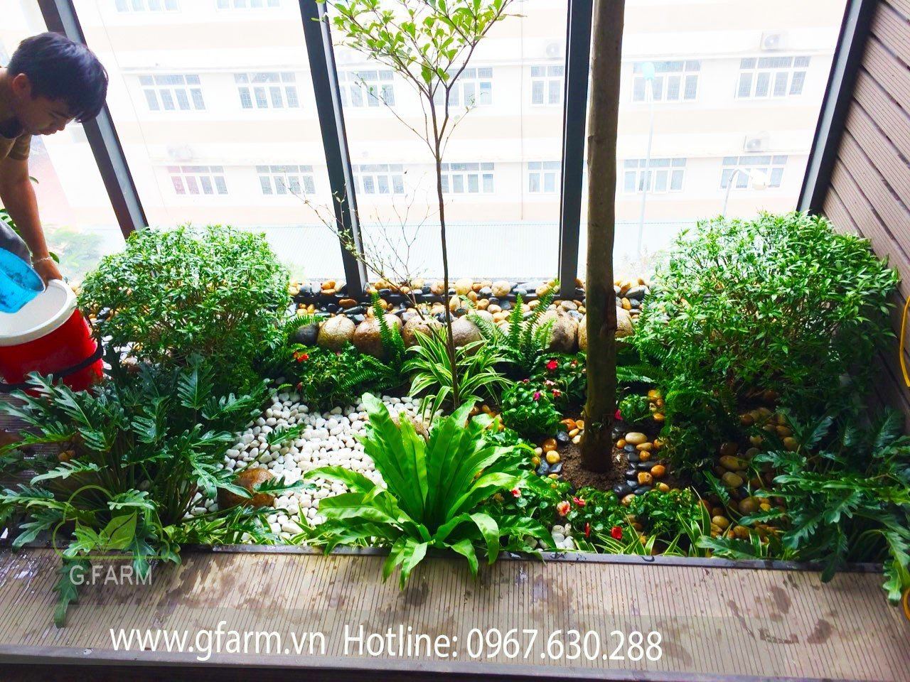 Thiết kế và Thi công dự án sân vườn Nhà phố 18m2 - Anh An