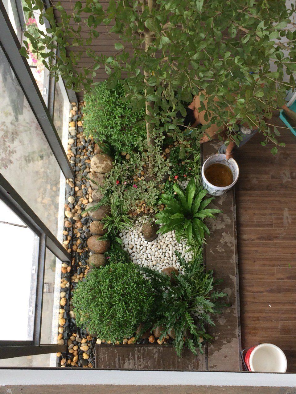 Thiết kế và Thi công dự án sân vườn Nhà phố 18m2 - Anh An