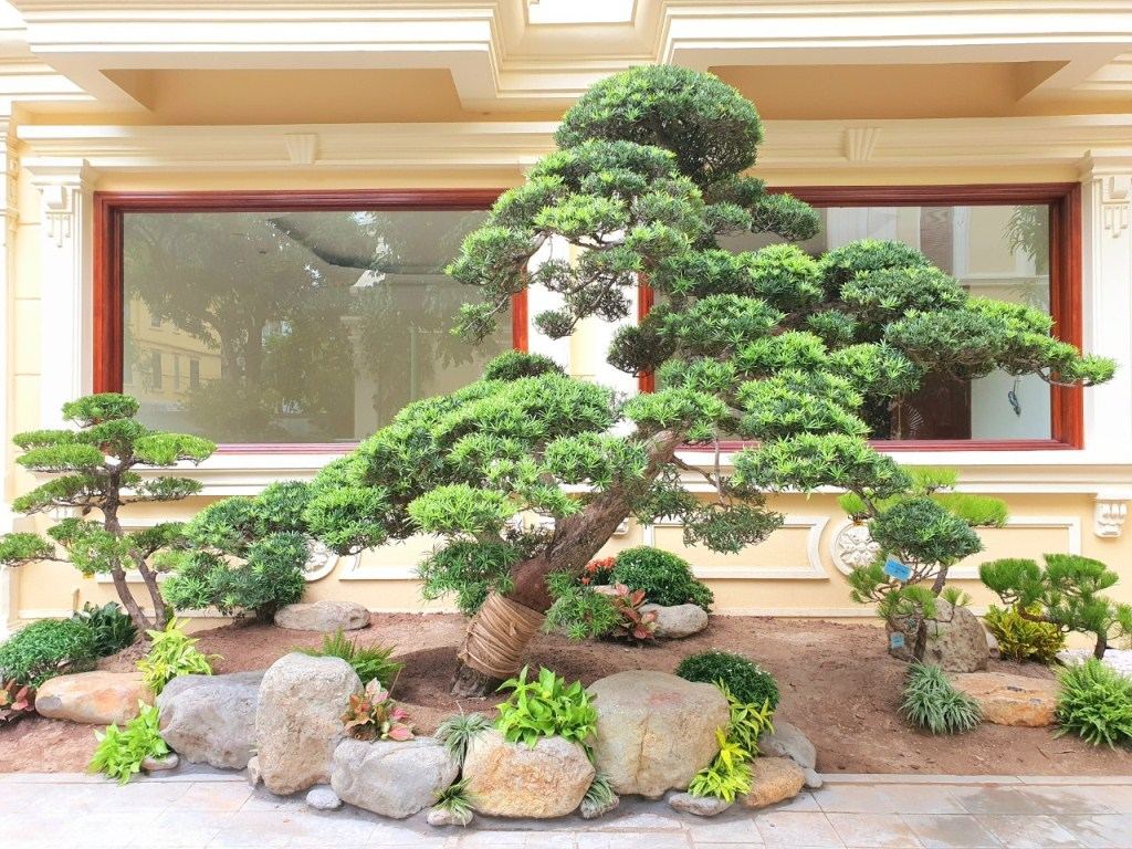 Sân vườn biệt thự Vinhome Long Biên