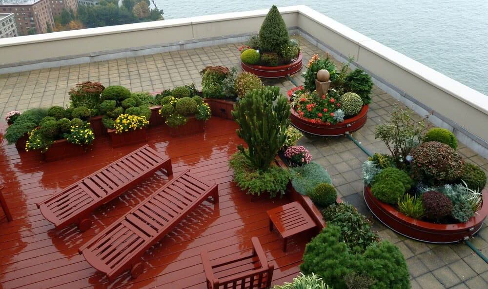 vườn sân thượng đẹp