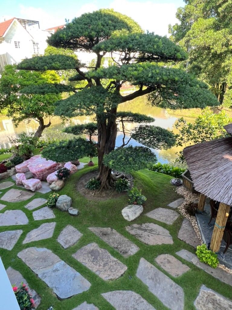 Thiết kế sân vườn biệt thự Lương Thế Vinh